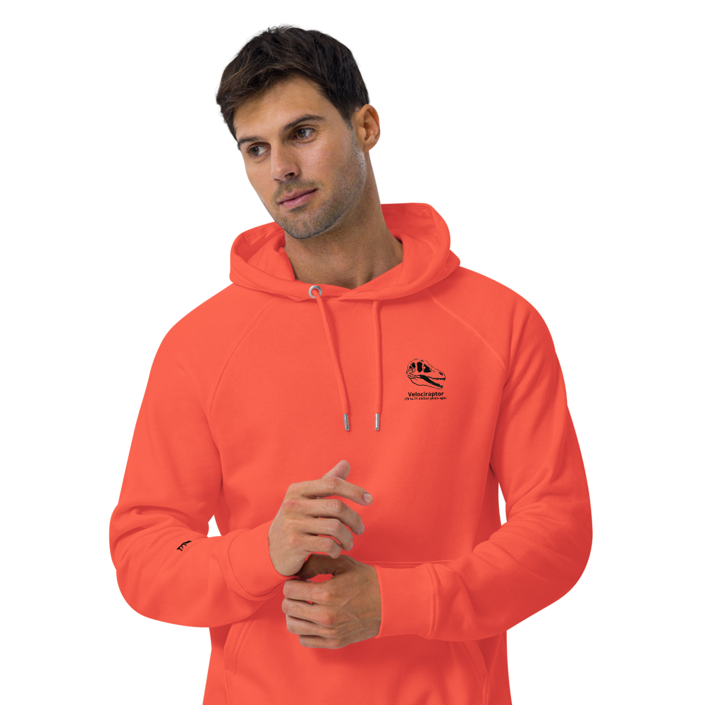 Raptor hoodie bright