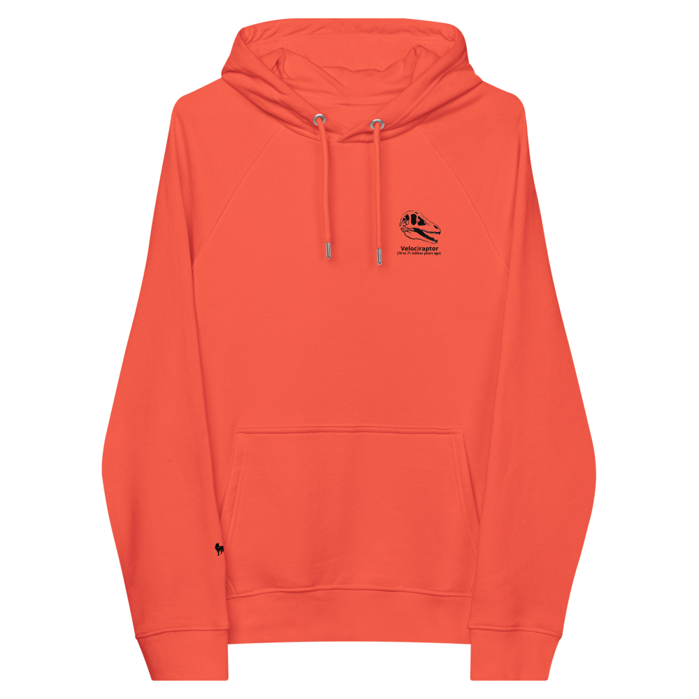 Raptor hoodie bright