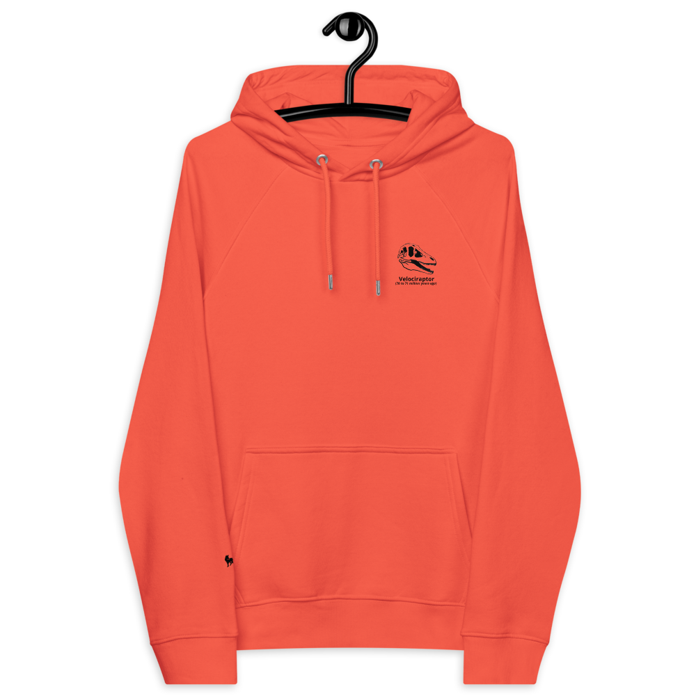 Raptor hoodie bright